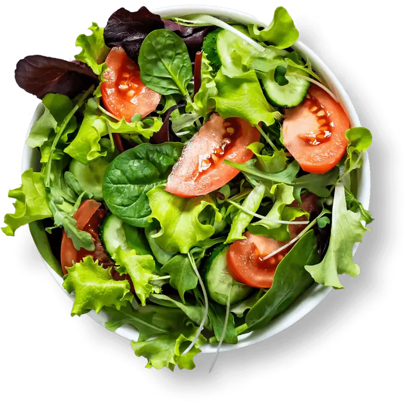 A fresh green salad with cucumber and tomatoes